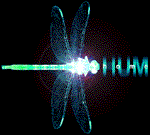 Dragonfly Descending home button